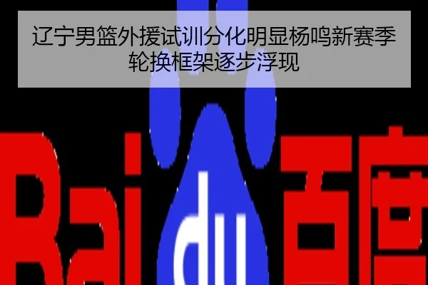 辽宁男篮外援试训分化明显杨鸣新赛季轮换框架逐步浮现