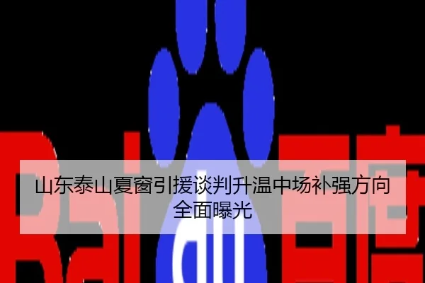 山东泰山夏窗引援谈判升温中场补强方向全面曝光