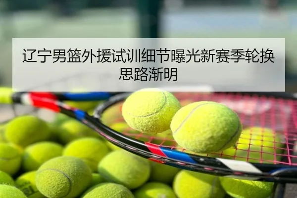 辽宁男篮外援试训细节曝光新赛季轮换思路渐明